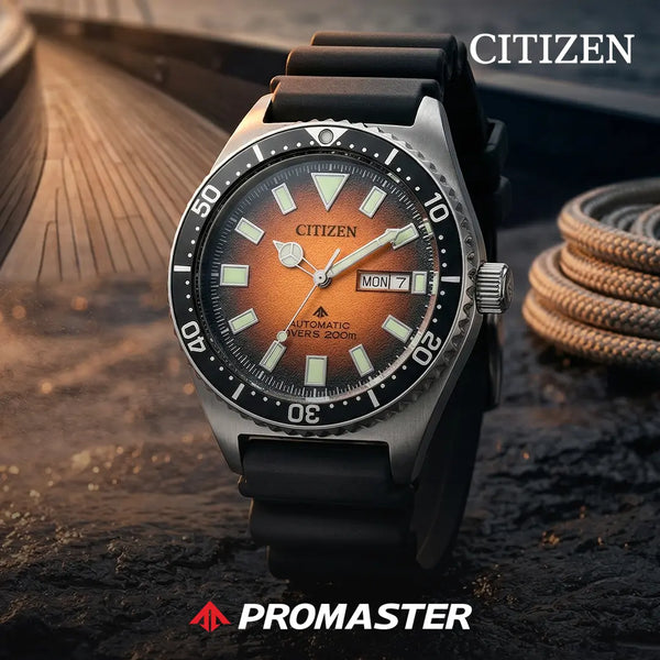 Promaster