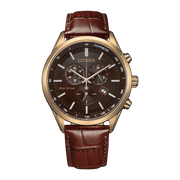 Citizen Eco-Drive AT2573-07X Men's Watch