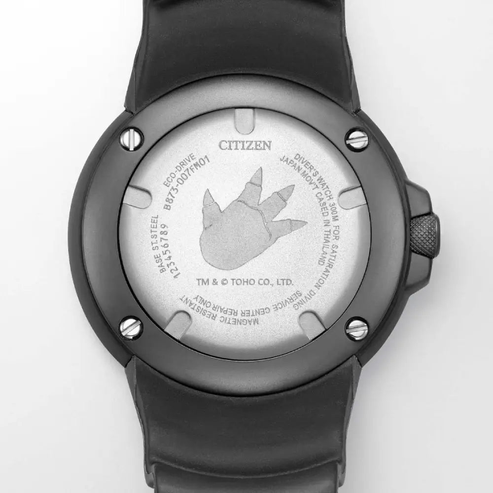 Citizen Promaster Citizen Promaster