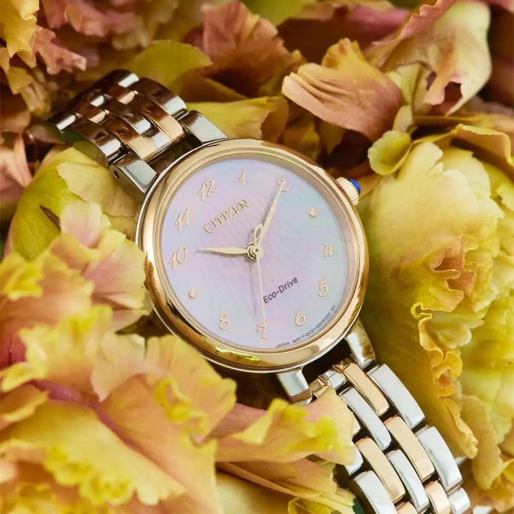 Citizen L Classic EM0996-84Y Women's Watch